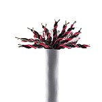 Image for Olympic Wire & Cable Corp with ID of: 3176029