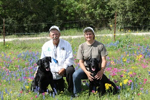 Image for How to choose a dog boarding facility in Edmonton? with ID of: 3176100