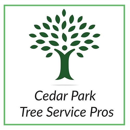 Image for Cedar Park Tree Service Pros with ID of: 3176459