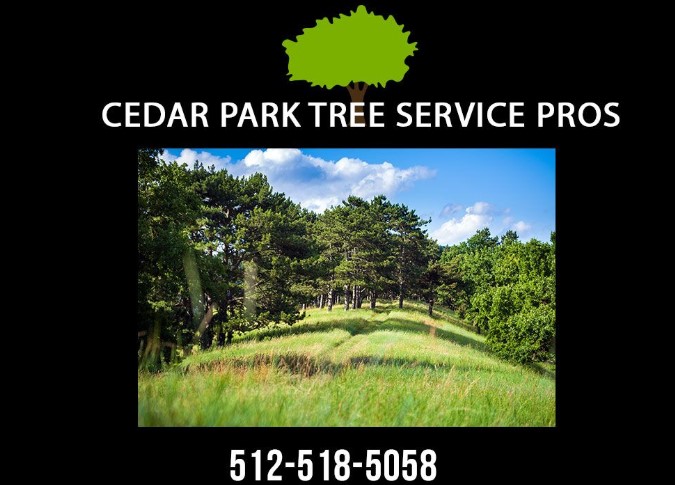 Image for Cedar Park Tree Service Pros with ID of: 3176463