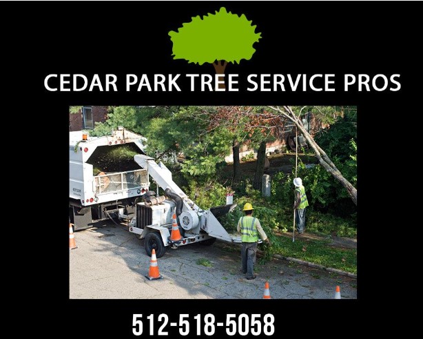 Image for Cedar Park Tree Service Pros with ID of: 3176473