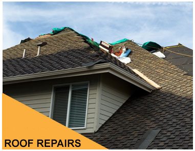 Image for New Roof Plus with ID of: 3176875