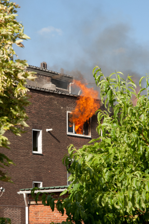 Image for New Concept Environmental Cleaning with ID of: 3177009