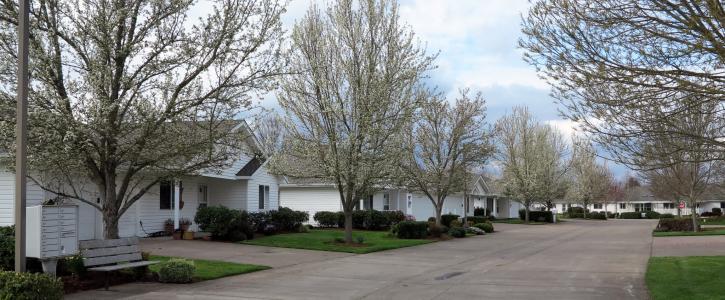 Image for Mennonite Village with ID of: 3177094