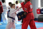 Image for Karate Fit USA with ID of: 3177153