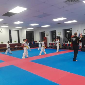 Image for Karate Fit USA with ID of: 3177159