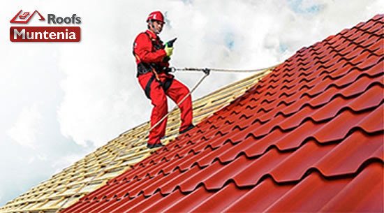 Image for Muntenia Roofs with ID of: 3179720