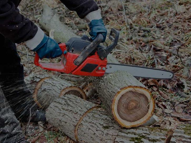 Image for Thrift Washington Tree Service with ID of: 3179867