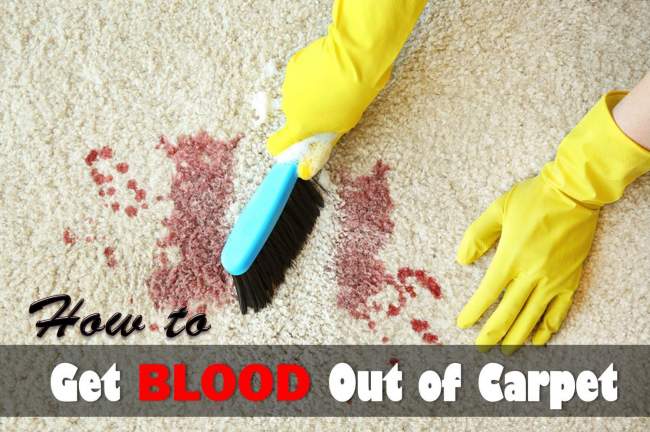 Image for How to Remove Blood Stains from Carpet with ID of: 3180771