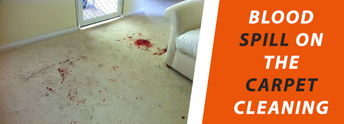 Image for How to Remove Blood Stains from Carpet with ID of: 3180785