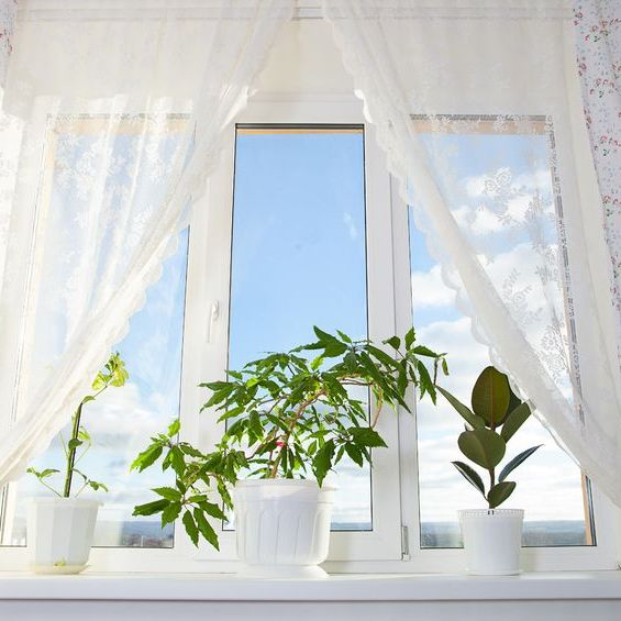 Image for Home Window Advisor with ID of: 3182527