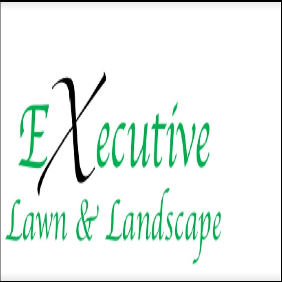 Image for Executive Lawn and Landscape with ID of: 3185204