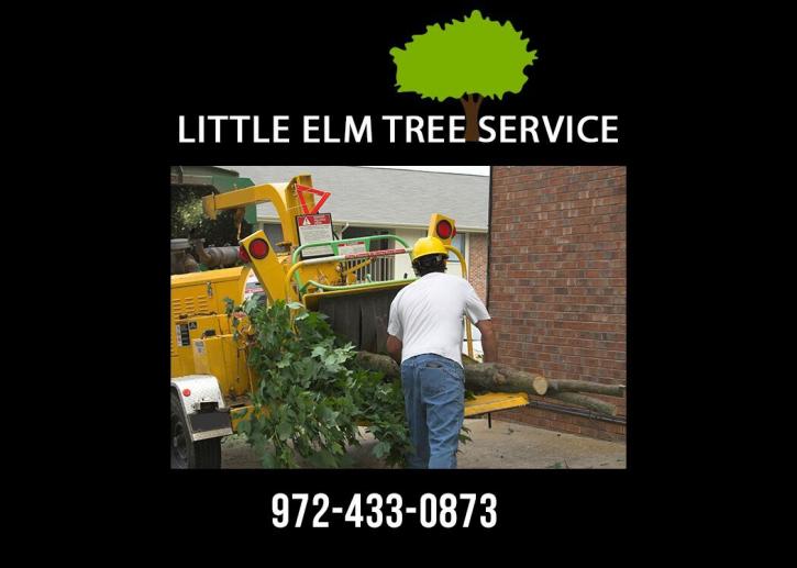 Image for Little Elm Tree Service with ID of: 3186233