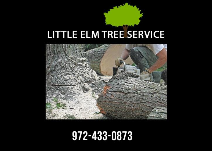 Image for Little Elm Tree Service with ID of: 3186234