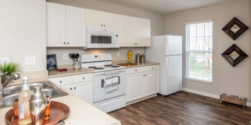 Image for Hamburg Farms with ID of: 3187360