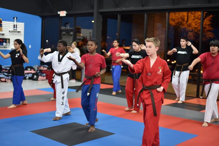 Image for Vortexic Martial Arts with ID of: 3187610