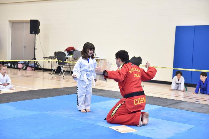 Image for Vortexic Martial Arts with ID of: 3187615