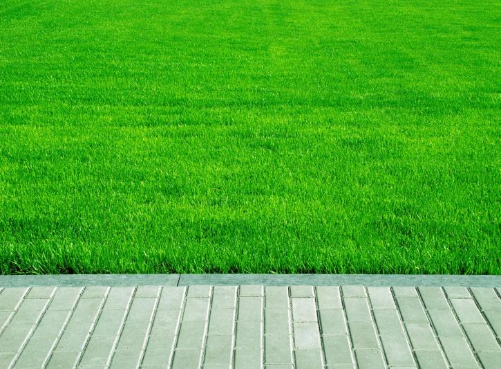 Image for Scientific Turf Inc. with ID of: 3189452