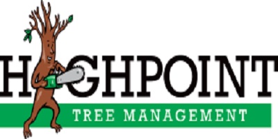 Image for High Point Trees with ID of: 3189648