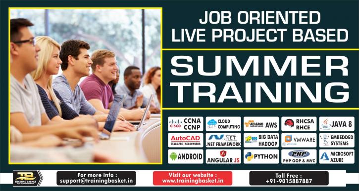 Image for Best Summer Training Certification In Noida-Training Basket with ID of: 3190441