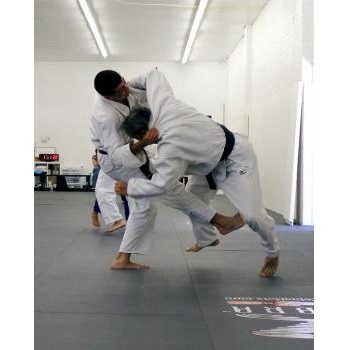 Image for Nakano Judo Academy with ID of: 3195034