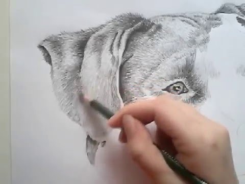 Image for Drawing with Pencil and Charcoal with ID of: 3195900