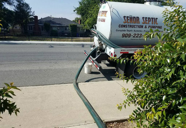 Image for Señor Septic Construction & Pumping with ID of: 3202408
