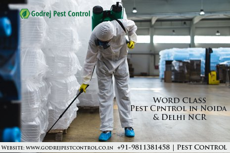 Image for Pest Control Delhi –Book Appointment Now with ID of: 3203356