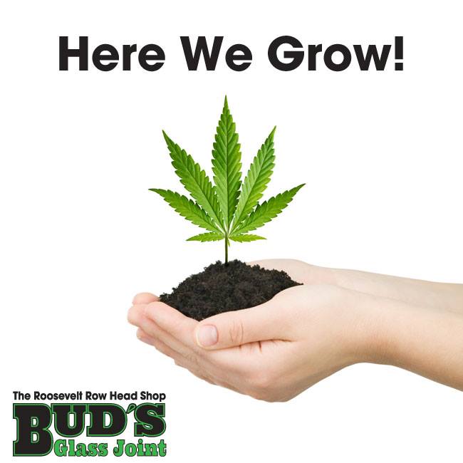Image for Bud's Glass Joint with ID of: 3204816