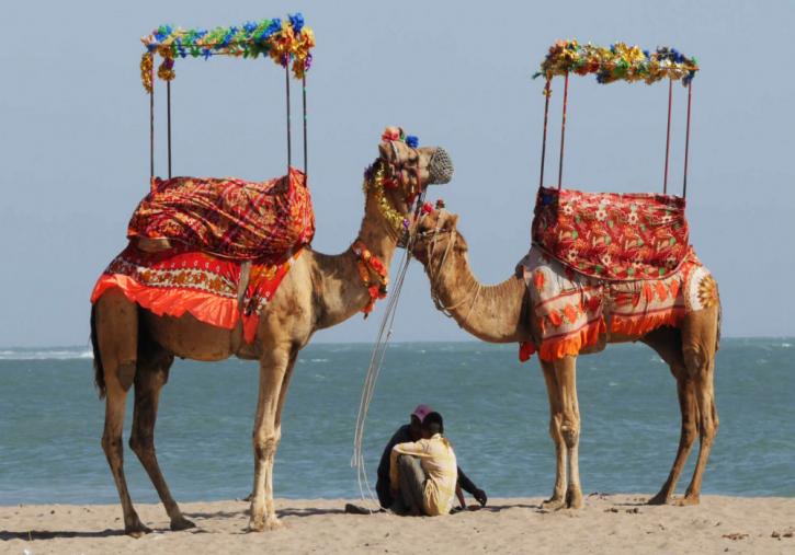 Image for Gir Somnath - Your Ultimate Destination with ID of: 3206194