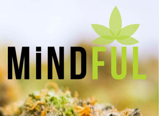 Image for MiNDFUL with ID of: 3208560