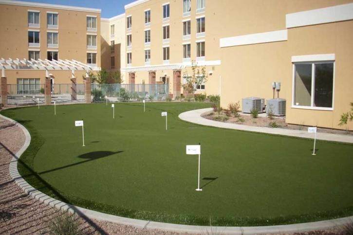 Image for Arizona Artificial Lawns with ID of: 3208696