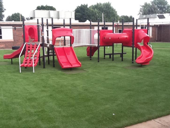Image for Arizona Artificial Lawns with ID of: 3208697