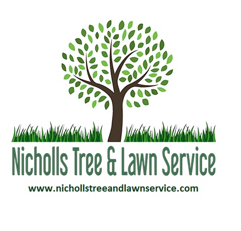 Image for Nicholls Tree and Lan Service Inc. with ID of: 3211356