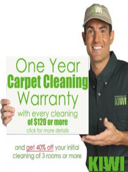Image for KIWI Services with ID of: 3213799