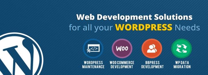 Image for Everything You Need To Know About Wordpress Development Services with ID of: 3213846