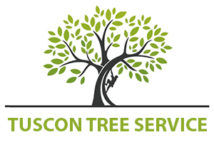 Image for Tucson Tree Services with ID of: 3214094