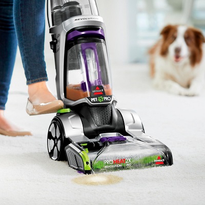 Image for Minneapolis Cleaning Services Company with ID of: 3214582