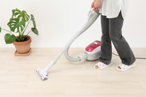 Image for The Cleaning Queen with ID of: 3218070