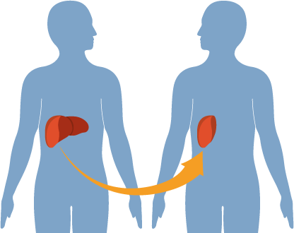 Image for https://www.credihealth.com/doctors/gurgaon/hepatology with ID of: 3218732