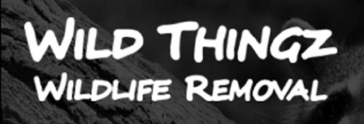 Image for Wild Thingz Wildlife Removal with ID of: 3219643