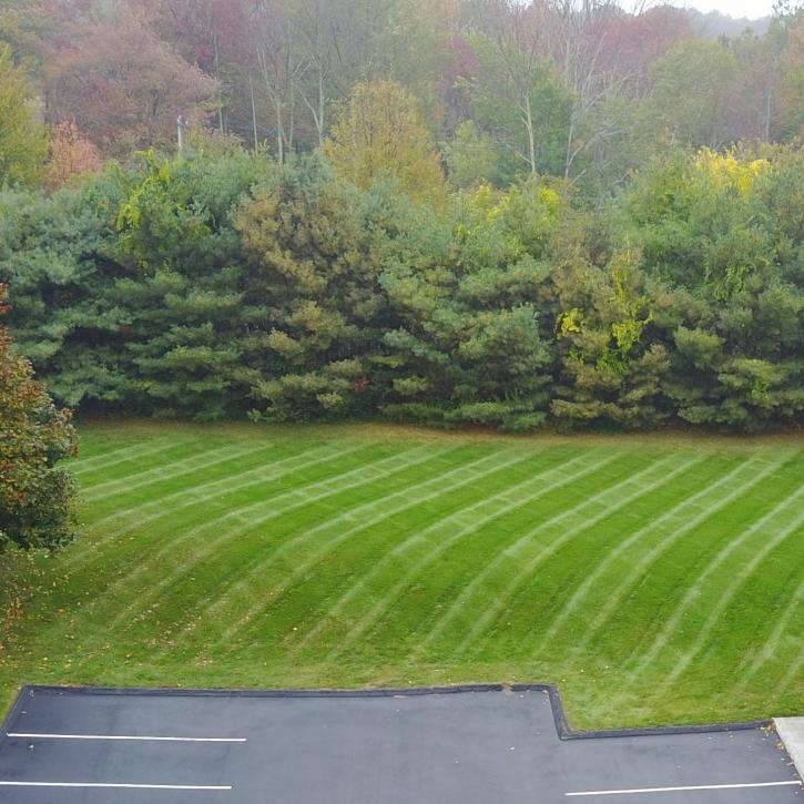 Image for B & D Landscaping with ID of: 3220563
