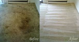 Image for National Carpet Care, Inc. with ID of: 3222051