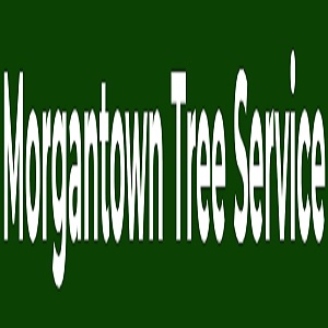 Image for Morgantown Tree Service with ID of: 3222203