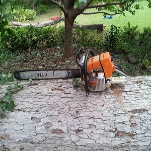 Image for Morgantown Tree Service with ID of: 3222219