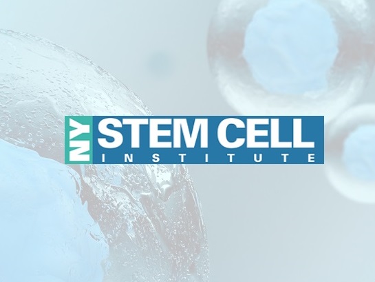 Image for Effective Stem Cell Therapy in NYC with ID of: 3222608