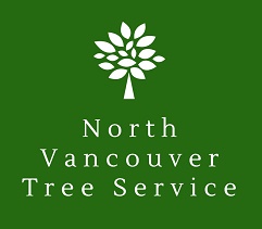 Image for North Vancouver Tree Service with ID of: 3223727