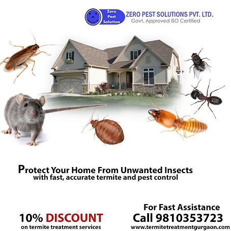 Image for 100% secure | pest control Gurgaon | +91-9810353723 with ID of: 3224675