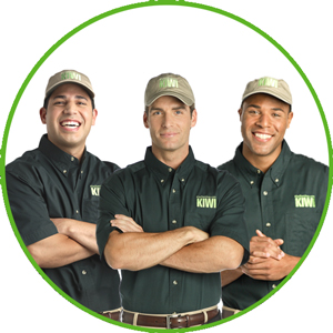 Image for KIWI Services with ID of: 3228063