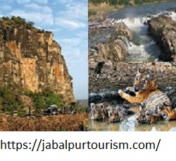 Image for Know Everything About Kanha Tour Packages From Jabalpur with ID of: 3229493